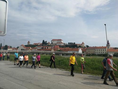 Ptuj 20190622 G3
